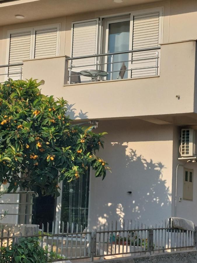 Apartment Dario Гребастика Экстерьер фото